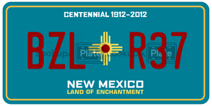 BZLR37  license plate in NM