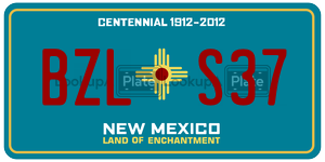 BZLS37  license plate in NM