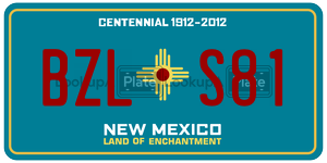 BZLS81  license plate in NM