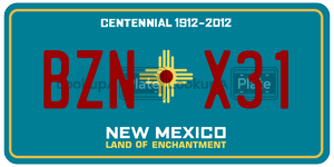 BZNX31  license plate in NM