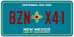 BZNX41  license plate in NM