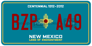 BZPA49  license plate in NM