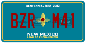 BZRM41  license plate in NM