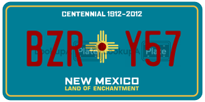 BZRY57  license plate in NM