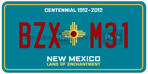 BZXM31  license plate in NM