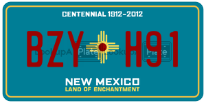BZYH91  license plate in NM