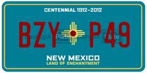 BZYP49  license plate in NM