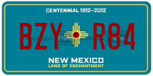 BZYR84  license plate in NM