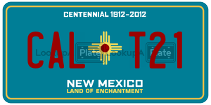CALT21  license plate in NM