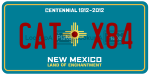 CATX84 license plate in New Mexico