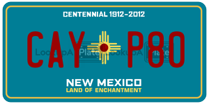 CAYP80  license plate in NM