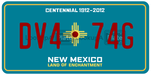 DV474G  license plate in NM