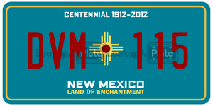 DVM115 license plate in New Mexico