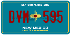 DVM595  license plate in NM