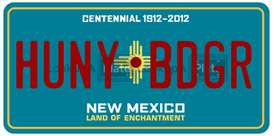 HUNYBDGR  license plate in NM