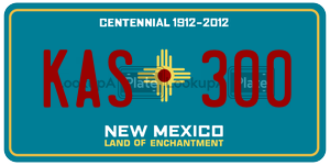 KAS300  license plate in NM