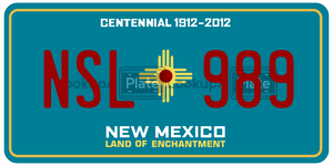 NSL989  license plate in NM