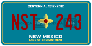 NST243  license plate in NM