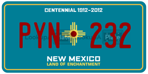 PYN232 license plate in New Mexico