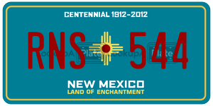 RNS544  license plate in NM