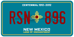 RSN896  license plate in NM