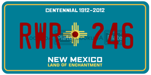 RWR246  license plate in NM