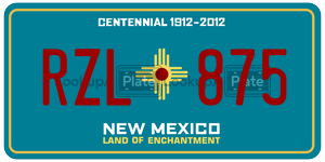 RZL875  license plate in NM