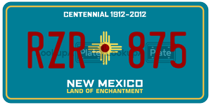 RZR875  license plate in NM