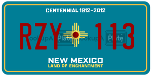 RZY113  license plate in NM