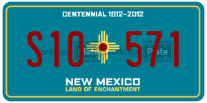S10571  license plate in NM