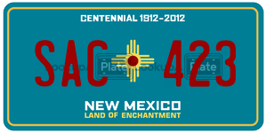 SAC423  license plate in NM