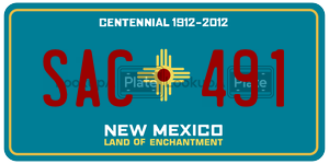 SAC491  license plate in NM