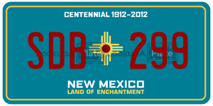 SDB299  license plate in NM