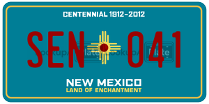 SEN041  license plate in NM