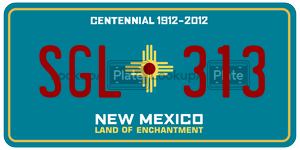 SGL313  license plate in NM