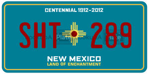 SHT289  license plate in NM