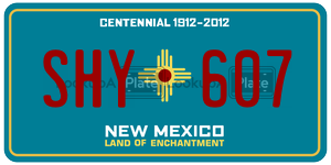 SHY607  license plate in NM