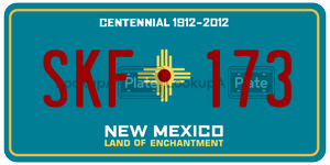 SKF173  license plate in NM