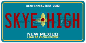 SKYEHIGH  license plate in NM