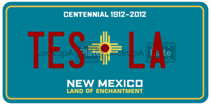 TESLA  license plate in NM