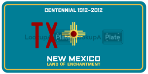 TX  license plate in NM