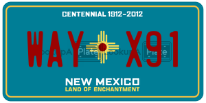WAYX91 license plate in New Mexico