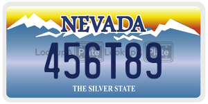 456T89  license plate in NV
