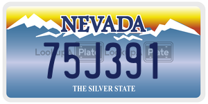 75J391  license plate in NV