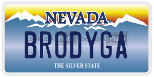 BRODYGA  license plate in NV
