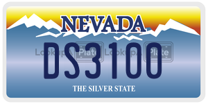 DS3100  license plate in NV