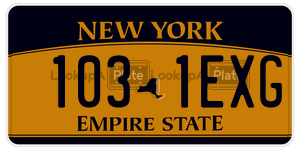 1031EXG license plate in New York