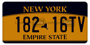 18216TV  license plate in NY
