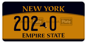 2020 license plate in New York