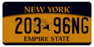 20396NG  license plate in NY